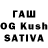 Псилоцибиновые грибы ЛСД Kieom Fathudinov