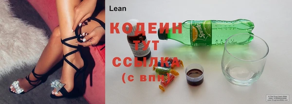 шишки Белоозёрский