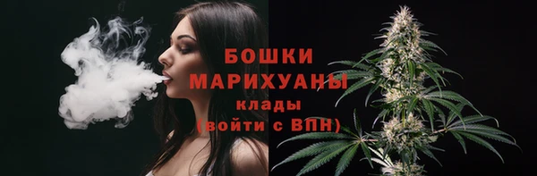 сатива Беломорск