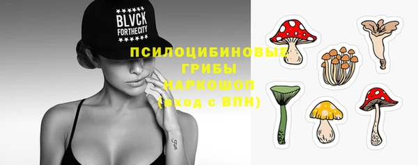 шишки Белоозёрский