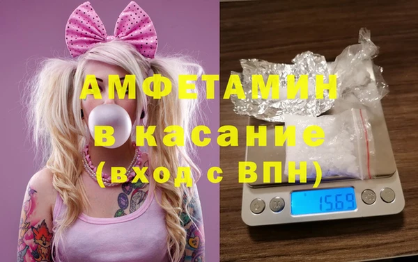 шишки Белоозёрский