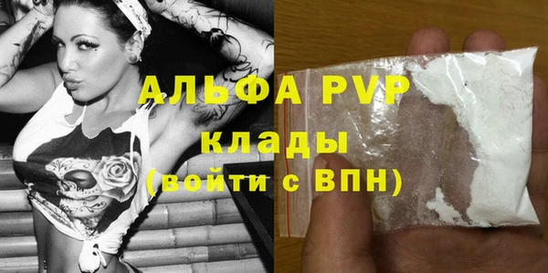 шишки Белоозёрский