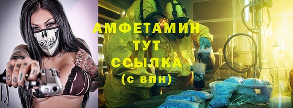 сатива Беломорск