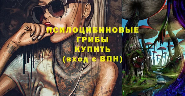 сатива Беломорск