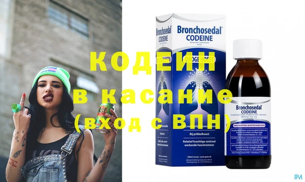 сатива Беломорск