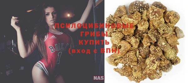 шишки Белоозёрский
