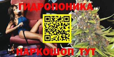 спайс Коммунар