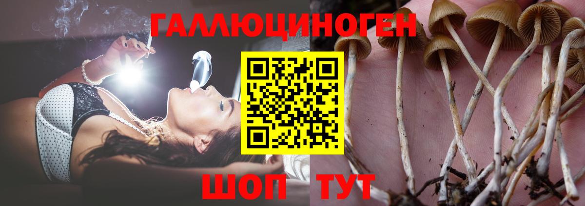Галлюциногенные грибы Psilocybine cubensis  Галлюциногенные грибы мухоморы  где купить наркотик  Бутурлиновка  Вход с VPN 